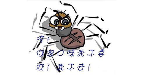 為什么網站沒有蜘蛛爬行記錄